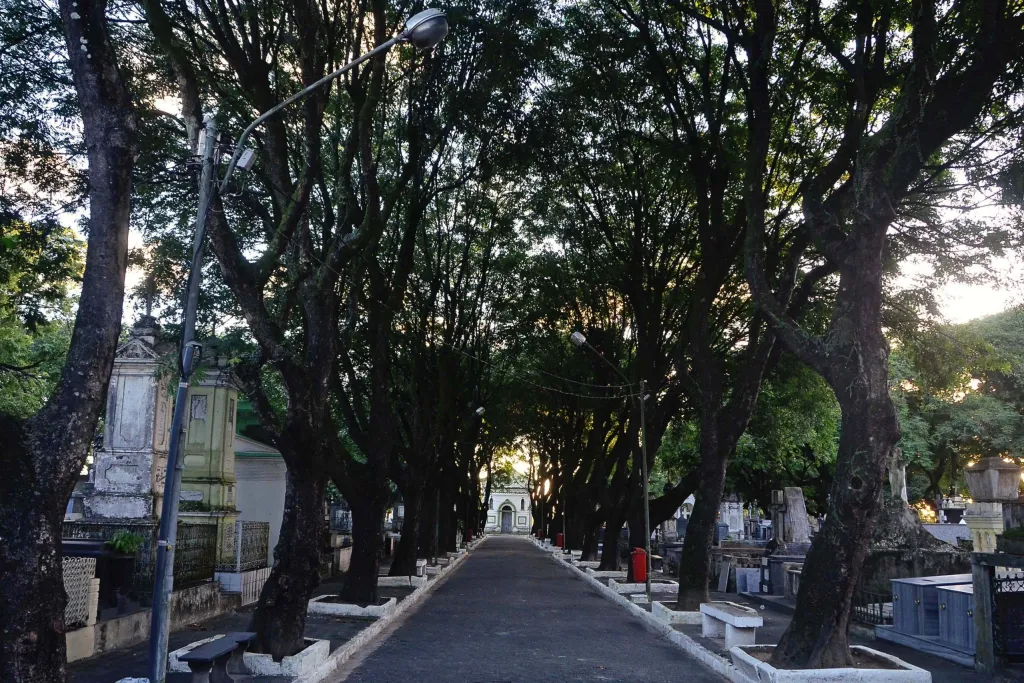 Sine-JP disponibiliza 459 vagas de emprego a partir desta segunda-feira em João Pessoa - Imagem do artigo original