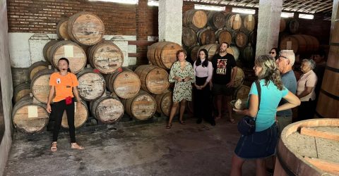 7ª edição do Festival das Flores de Areia começa nesta sexta-feira no Hotel Bruxaxá - Imagem do artigo original