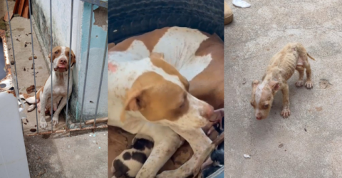 Paciente suspeito de intoxicação por metanol morre em hospital de Campina Grande - Imagem do artigo original