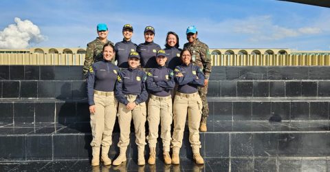 Idosa de 65 anos é presa por dirigir embriagada após se perder na BR-101, na Paraíba - Imagem do artigo original