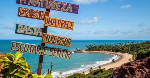 Estudo do Banco do Brasil aponta Paraíba com crescimento econômico acima da média nacional em 2025 - Imagem do artigo original