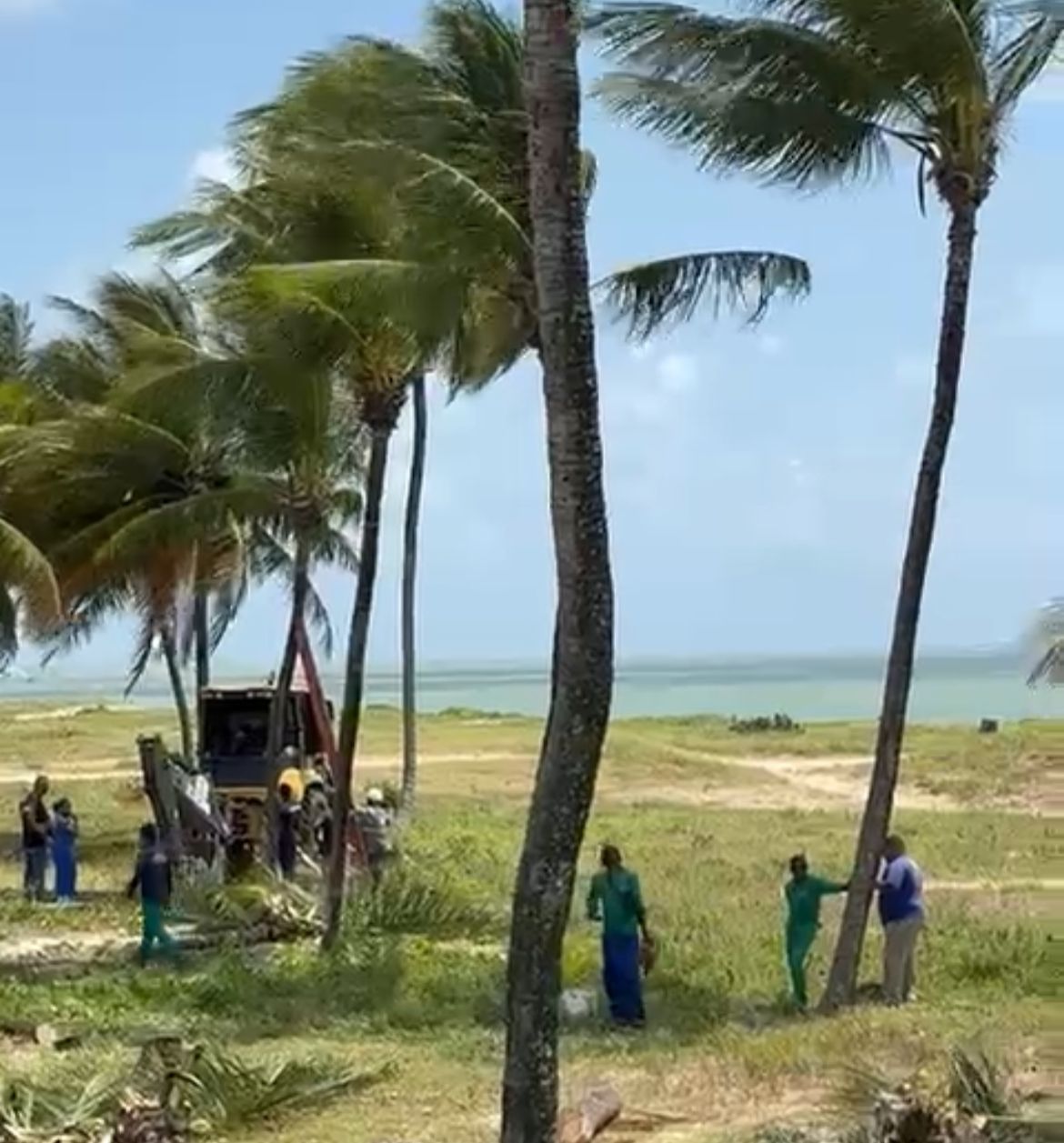 UFPB abre inscrições para cadastro de supervisores acadêmicos do Mais Médicos para o Brasil - Imagem do artigo original