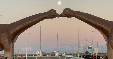 Incêndio na vegetação faz Sudema interditar Vale dos Dinossauros em Sousa - Imagem do artigo original
