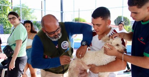 Paraíba promove Dia D de multivacinação neste sábado em 909 postos - Imagem do artigo original