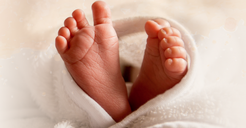 Hervázio Bezerra afirma que Tibério Limeira foi “muito duro” com Gervásio Maia - Imagem do artigo original