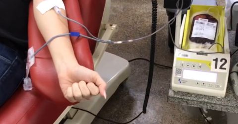 Mascote da Unifacisa se veste de Mandaloriano e atrai público no Imagineland On The Road - Imagem do artigo original