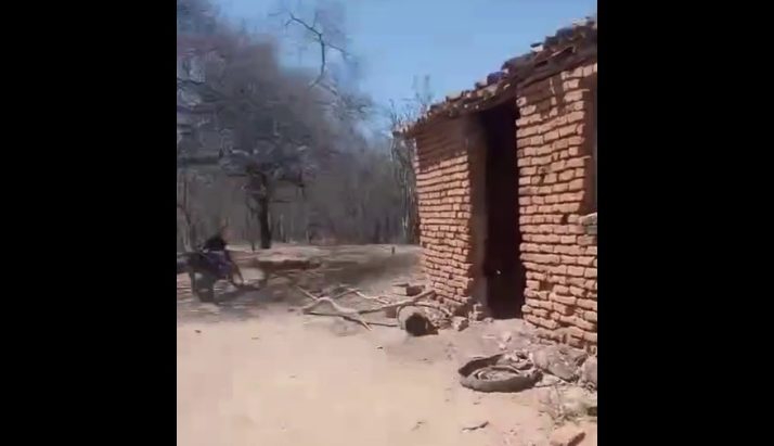 Professor lista três técnicas para ampliar a memorização na leitura - Imagem do artigo original